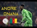 Andre Onana - The Future N°1 • Amazing Save 2018/2019 Mid Season