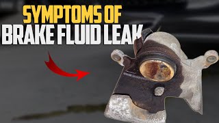 5 Symptoms of Brake Fluid Leak & How to Diagnose?