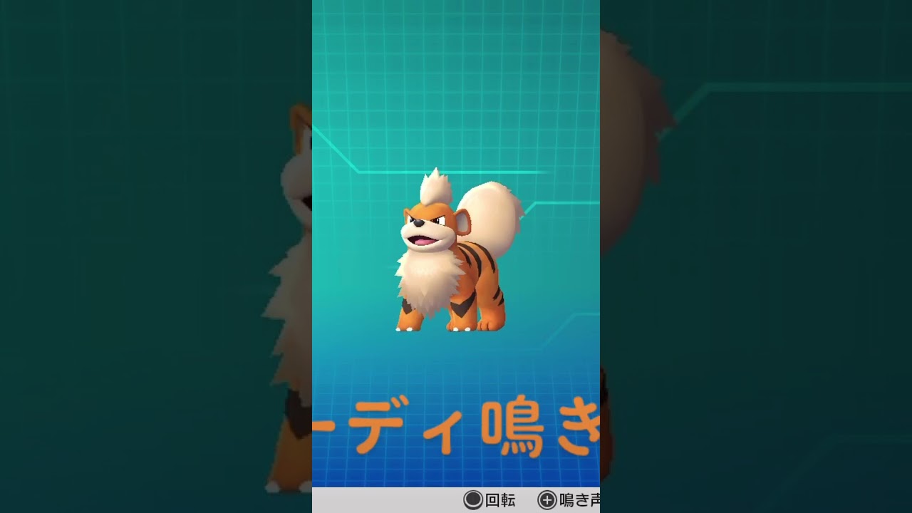 ピカブイ 図鑑no058 ガーディ鳴き声 ポケモン動き 図鑑コンプ レッツゴーピカチュウ レッツゴーイーブイ Youtube