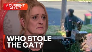 Why Would Someone Steal A Cat? A Current Affair