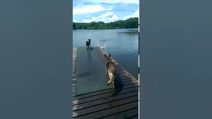 Harper and Lani jump in a lake