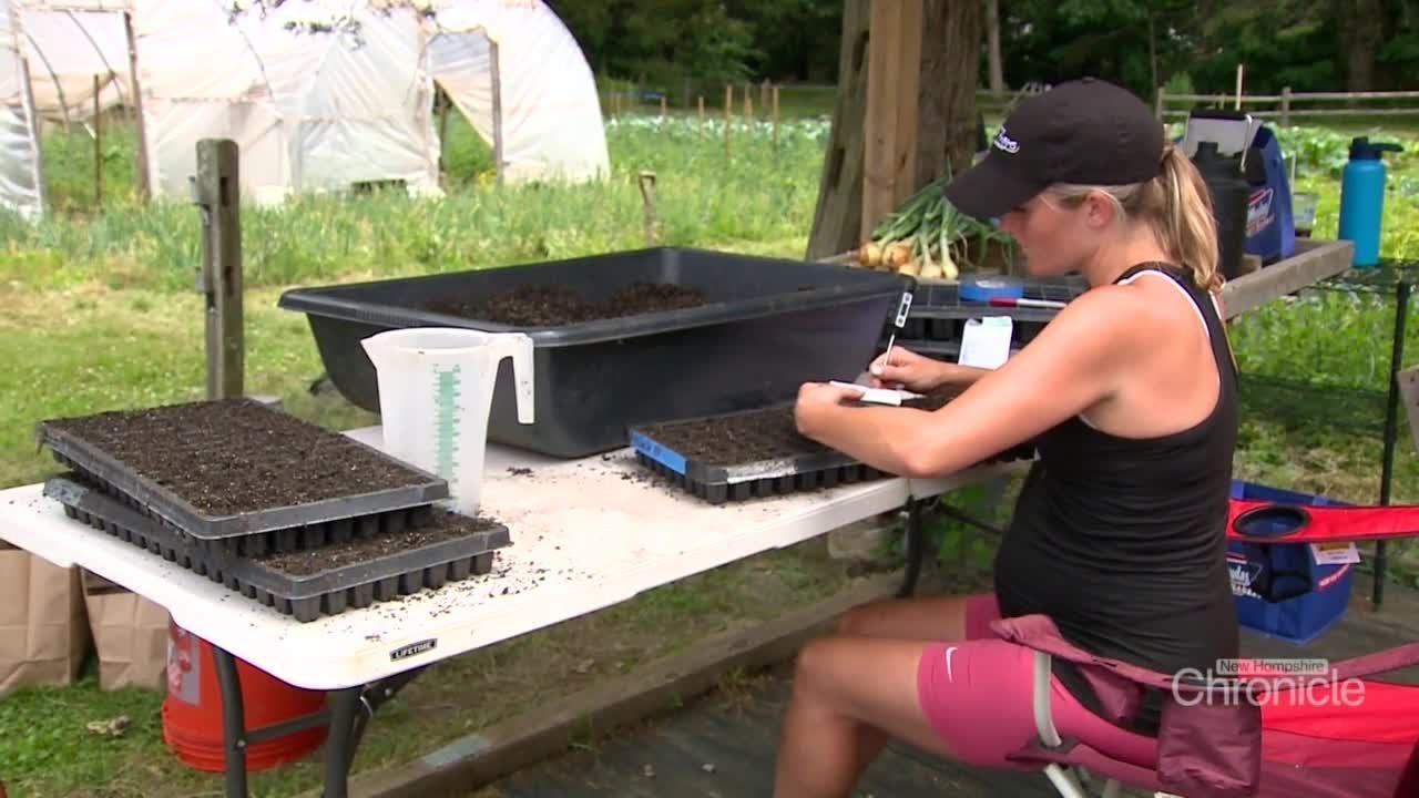 NH Chronicle: Growing it organic at the Horne Family Farm