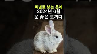 띠별운세! 2024년 6월 토끼띠운세! 대박나는 토끼띠운세! 갑진년 6월 한달운세!