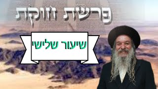 פרשת השבוע חוקת (ג)