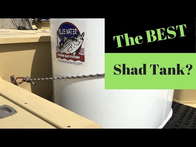 Blue Water Bait Tank: The Best Shad Tank? 