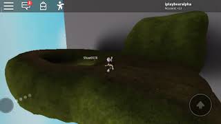 Gravity controller