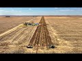 Why America Planted 220 Million Trees From Canada to Texas