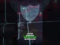 Unlocking the Quantum Internet: The Future of Ultra-Secure Communication π