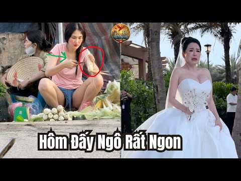 😂 Cười Đái Ra Quần Với TOP 100 Pha Hài & Fail Bá Đạo Nhất | Phần 13