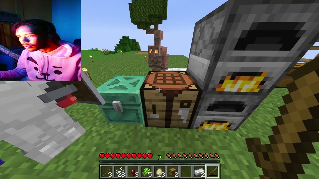 BRO SENSE Capitulo 9 - Minecraft con Jasson Blake (Part 1/3)