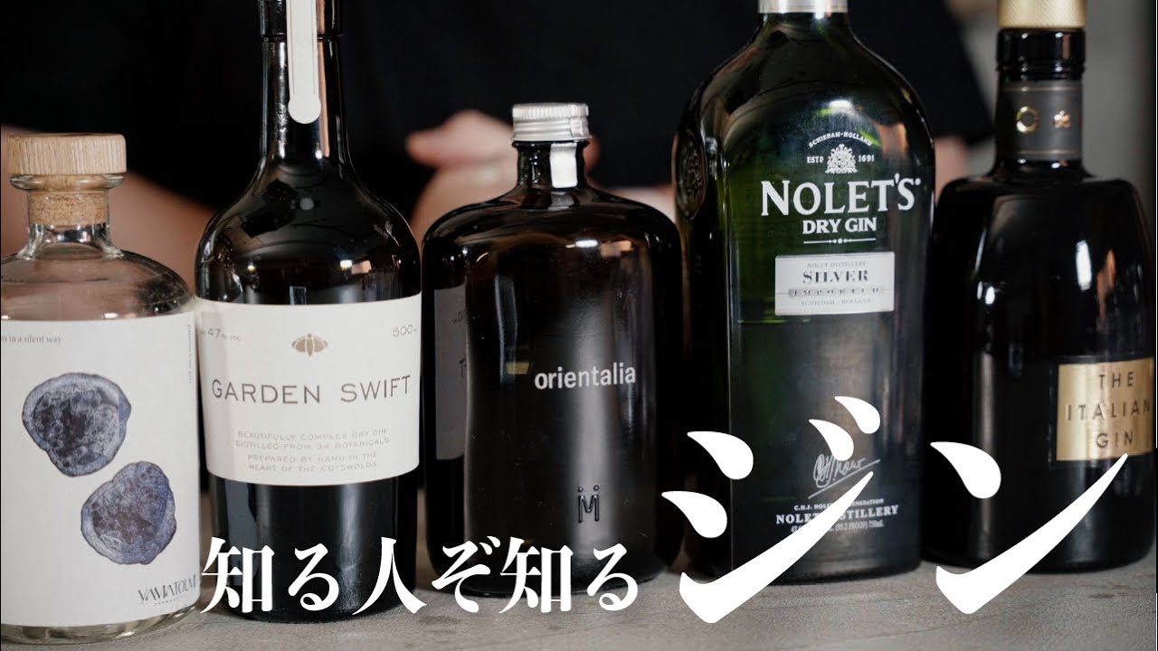 ginさん専用 gensanshi 三味線 ジンさん専用】三味線本体＆ハード