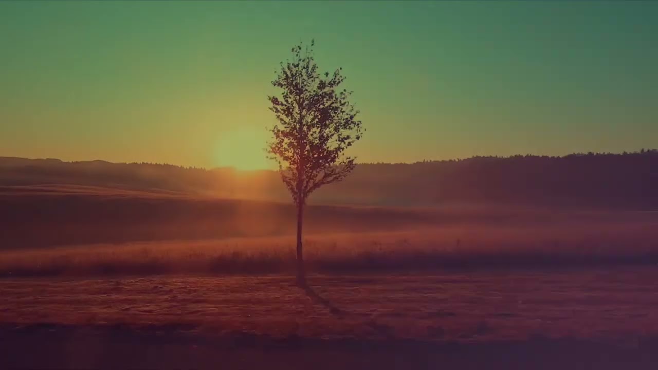 Dog Trap Road - offical video