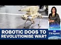 Ai startup makes humanoids robotic dogs join chinas military drills  vantage with palki sharma