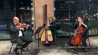 Columbus Musicians, LLC ~ Harp Trio Sampler