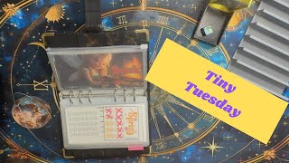 Tinys Galore! Let’s save tiny amounts to make big changes!