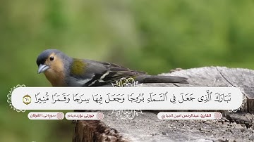 الختمة المسجلة للقران الكريم الجزء التاسع عشر بصوت القارئ عبدالرحمن امين الجباري