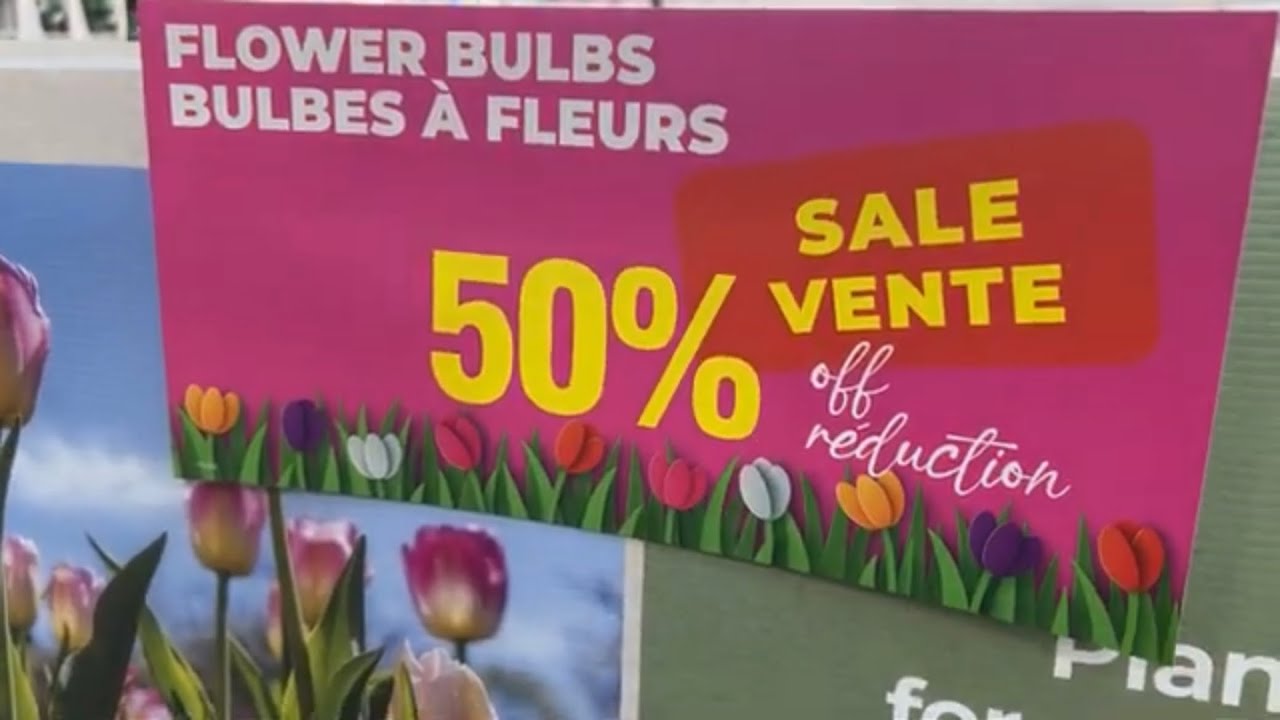 Homedepot半价的花球 - 地址在说明区