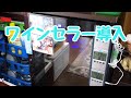 【クワガタ】ワインセラー導入
