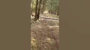 Вот для чего нужен шлем!