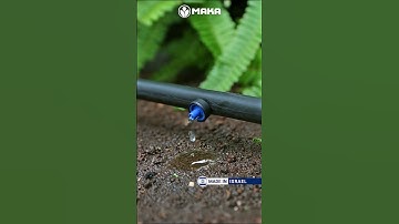 Béc tưới nhỏ giọt bù áp Gali PC 2-4 lít/giờ Metzer - Israel #tuoinhogiot  #tuoitudongmaka