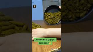 Yarpaq dolması.Sarma.Долма