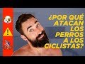 ⚠️¿CÓMO EVITAR ATAQUES DE PERROS EN BICICLETA? ⚠️ | CONSEJOS + 7 ATAQUES REALES