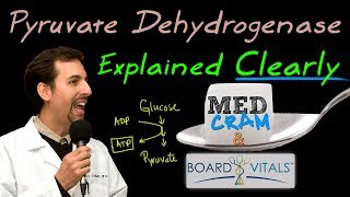 Pyruvate Dehydrogenase Deficiency Explained Clearly - Exam Practice Question