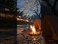 Campfire Nights by the Riverside 🔥🌙