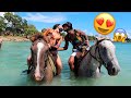 HORSEBACK RIDING IN JAMAICA WITH GOLDJUICE 🥰