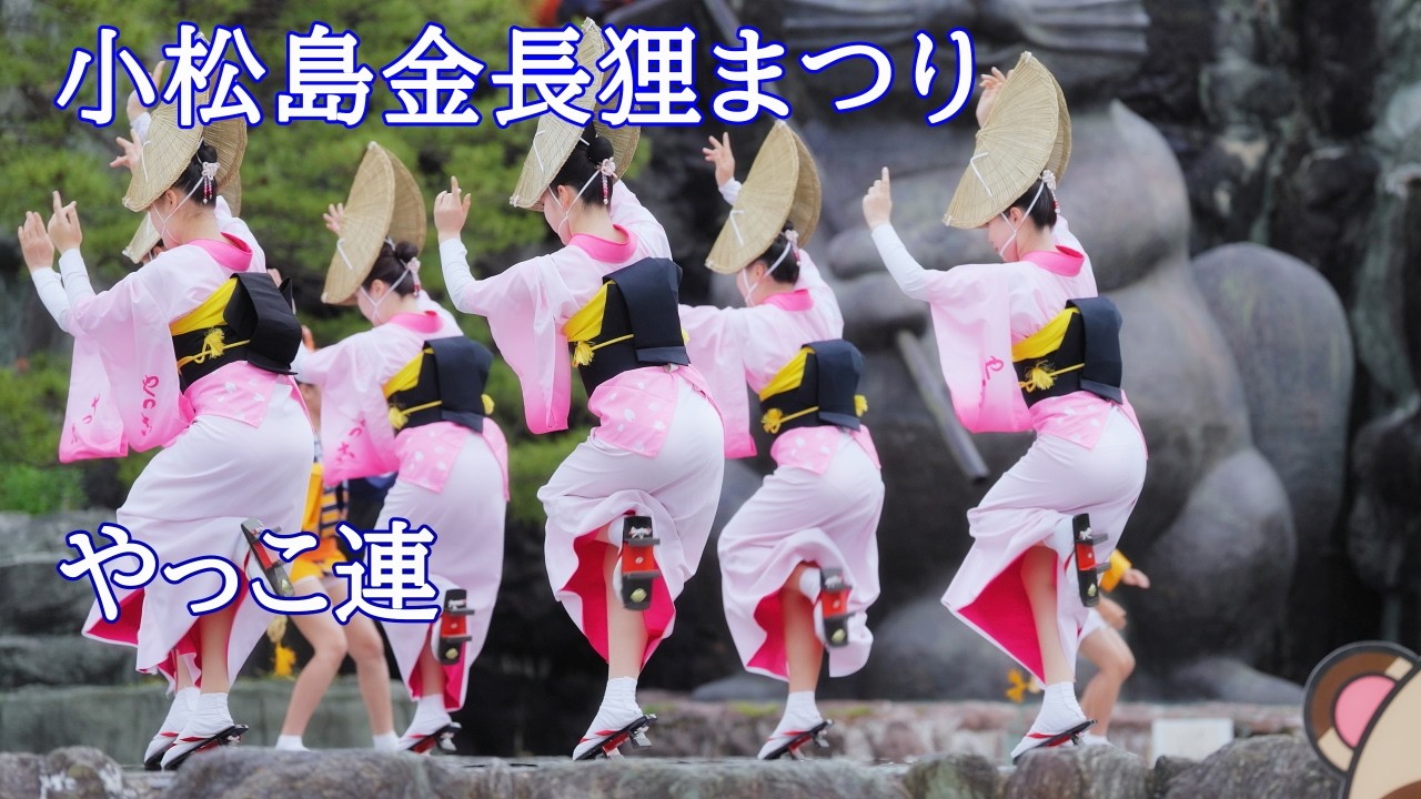 阿波踊り2025】阿波おどりイベント 小松島金長狸まつり やっこ連 - YouTube
