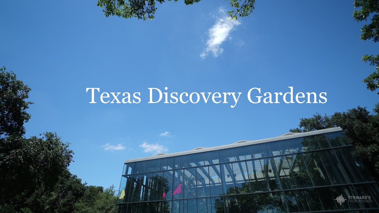 Texas Discovery Gardens Dallas Videographer Wedding Venue Youtube