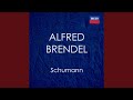 Miniature de la vidéo de la chanson Piano Concerto In A Minor, Op. 54: I. Allegro Affettuoso