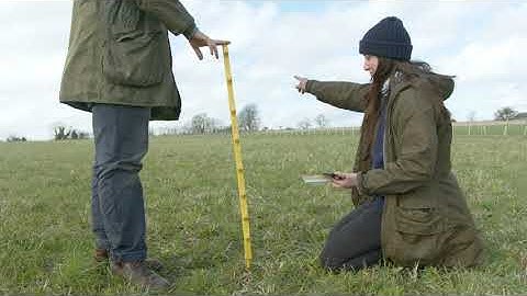 The Regen Indicators: Basal Ground Cover Transect