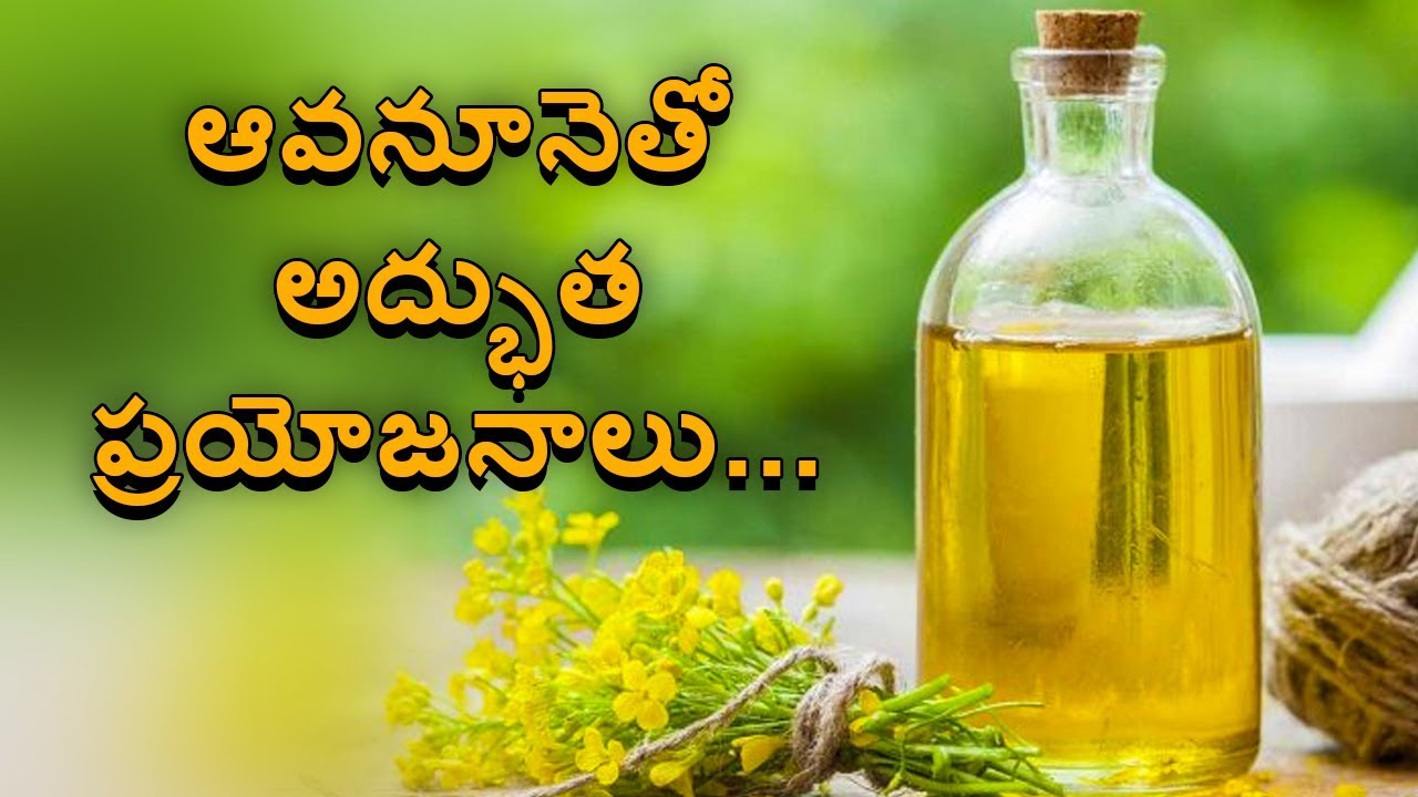 Canola oil benefits and uses YouTube