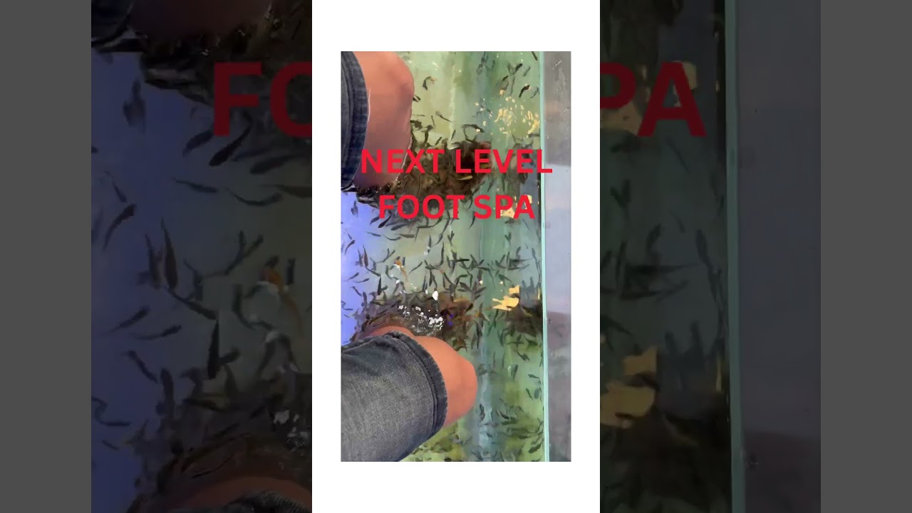 🚨FISH SPA IS A MUST TRY🤩🚨 In CHINATOWN,BANGKOK.FISH EAT AWAY ALL DEAD SKIN .TOTAL RELAXATION