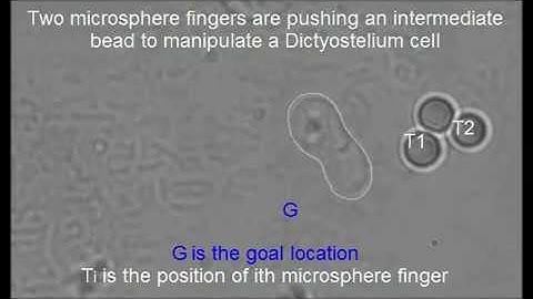 Optical Hand