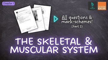 QUESTIONS, A* ANSWERS & MARK SCHEMES - Skeletal & Muscular System (Ch 1) - IGCSE PE exam revision
