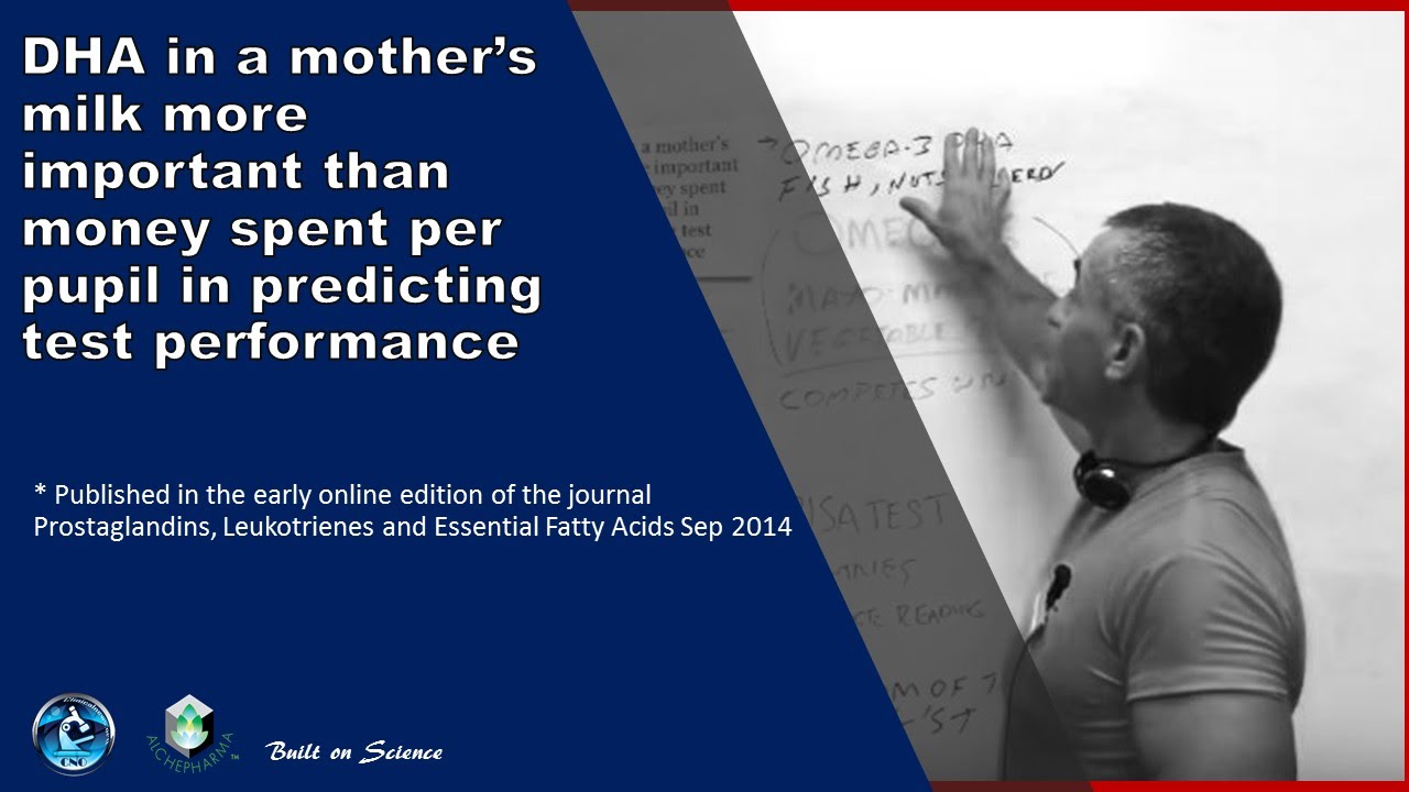 DHA in a mother’s milk more important than money spent per pupil in predicting test performance