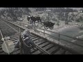 Horse unalives themself at Flatneck