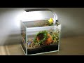 Comment faire un aquarium minimaliste pour les poissons betta