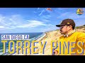 TOP THINGS TO DO IN TORREY PINES | San Diego Travel Guide