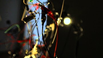 Katerina Undo - Creatures Cluster