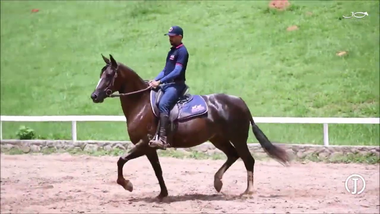 Maresias da Jauaperi (T.E.)