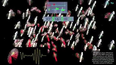 MRillustrated - Diffusion 1: The b Value