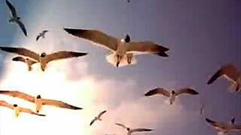 Justin Hayward - Broken Dream