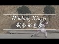 Wudang Xingyi 武当形意拳 Master Ming Yue 明月師父