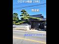 立派な門かむり✨松【5月】#剪定　#高所作業【造園　植木屋　庭師　庭木　樹木　職人】
