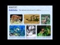 Introduction to ecosystems  powerpoint  tangstar science