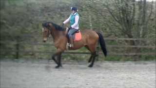 Harvey Flatwork
