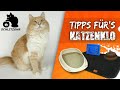 ðŸ”¥5 Katzenklo Tipps | Katzenstreu in der Wohnung | Katzenstreu Matte | Katzenklo GerÃ¼che reduzier